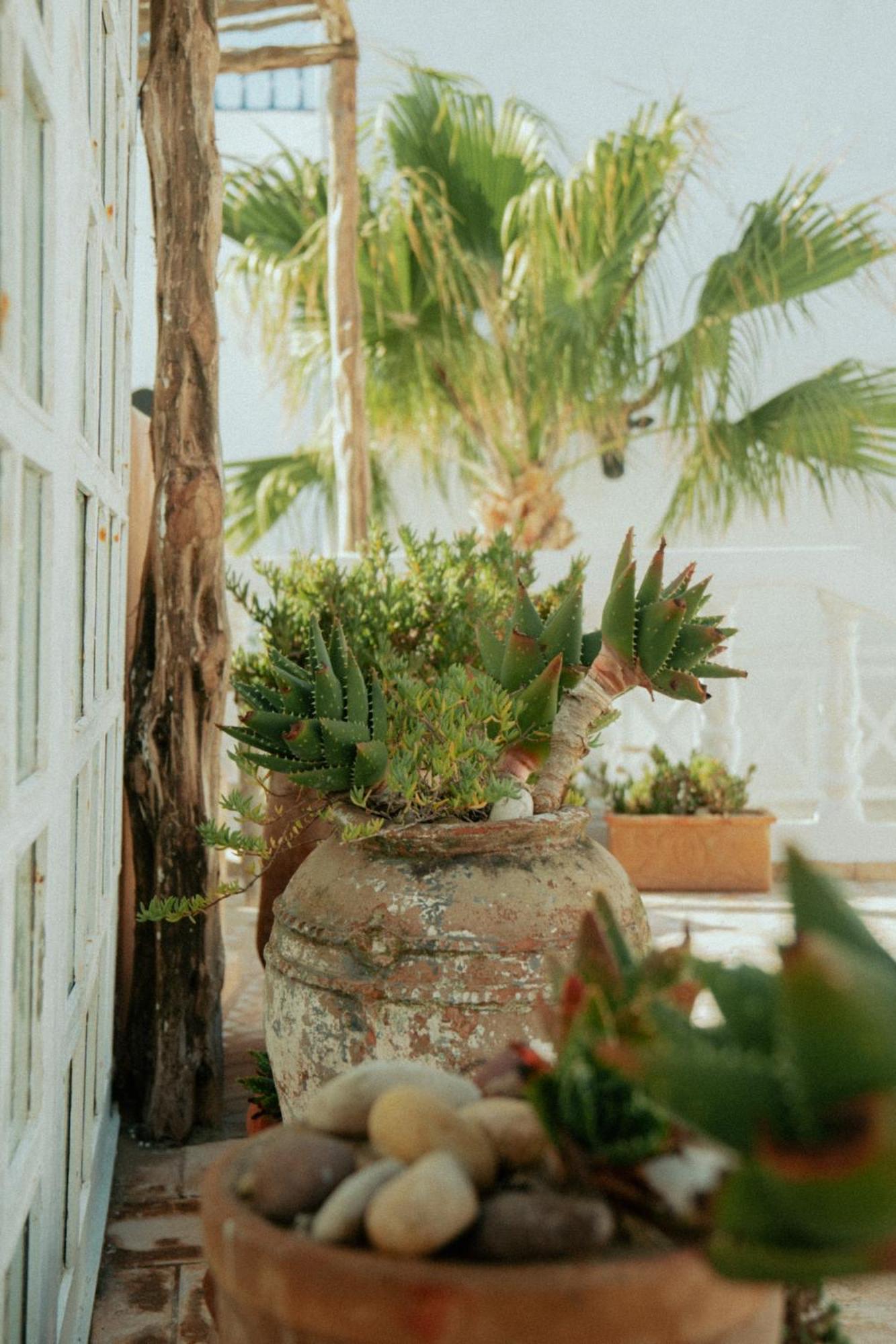 Riad Baladin Essaouira Ngoại thất bức ảnh